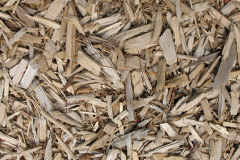 biomass boilers Gibsmere